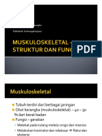 Musculoskeletal