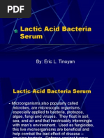 Download Lactic Acid Bacteria Serum by api-3697183 SN6547330 doc pdf