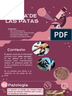 EP - PPT - Sarna de Las Patas