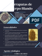 EP - PPT - Garrapatas de Cuerpo Blando