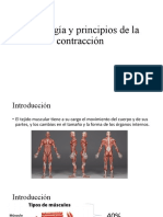 Histologia y Principios de Contraccion