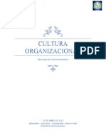 Cultura Organizacional