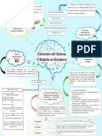 Mapa Mental - Estructura El Sistema Tributario en Honduras