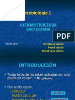 1ultra Estructura Bacteriana