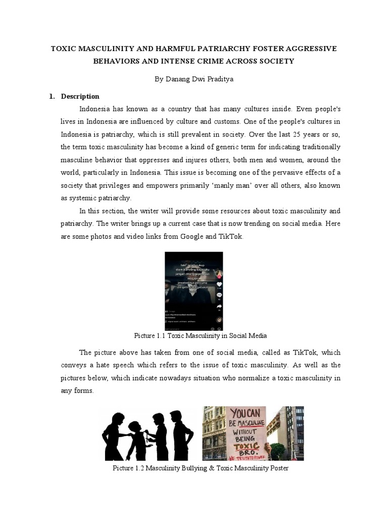 TOXIC MASCULINITY AND HARMFUL PATRIARCHY FOSTER AGGRESSIVE BEHAVIORS ...