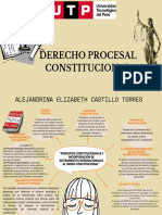 Principios Constitucionales