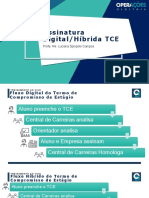 Assinatura Híbrida Do Tce