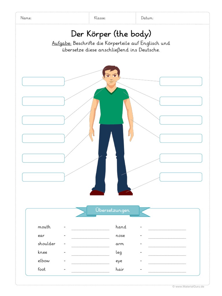 Arbeitsblatt Englisch Koerper Beschriften | PDF