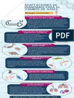 Infografía Biología Avanzada