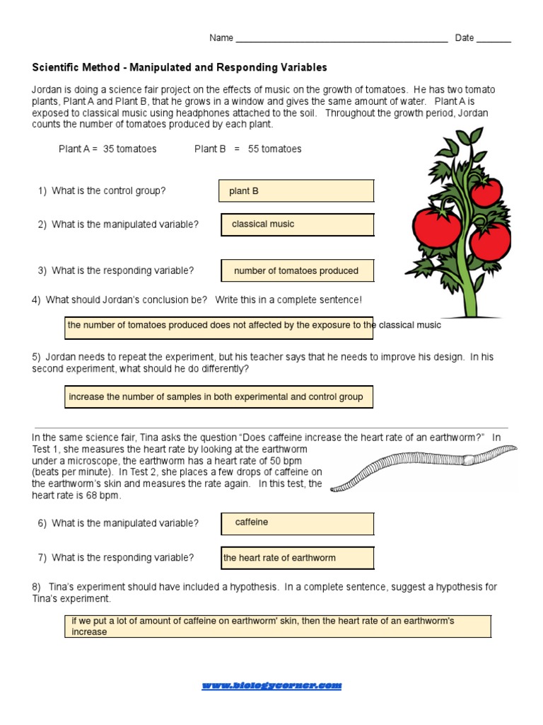 Understanding Variables in Experiments | PDF | Experiment | Heart Rate