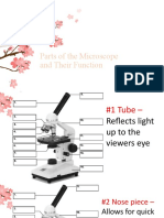 Microscope Parts and Function