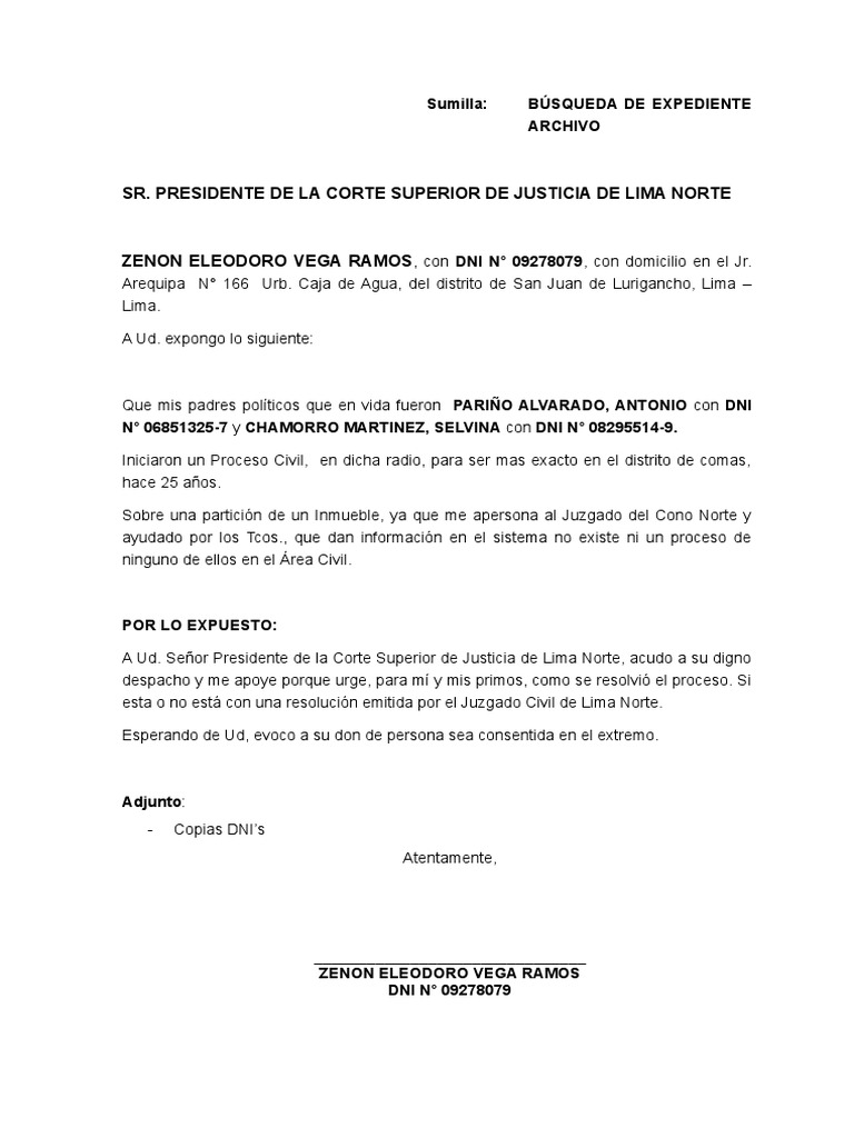 CONSULTA DE EXPEDIENTE intelligence overview