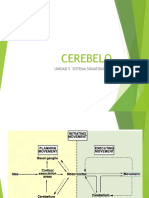 Sistema Somatomotor-Cerebelo - Nuceos de La Base Continuacion Unidad 5 2023