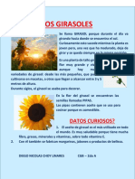 Los Girasoles