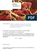 Sistema Renal Ii Fisiologia