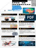 Tipos de Neurociencias