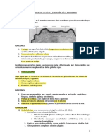 TEMA 3 Cubiertas Externas