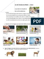 Revisões de Estudo Do Meio - 3ºano: (Lembra-Te: Quem Come o Quê (Vegetais ) Ou Quem (Outros Animais Mais Pequenos)