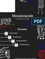 Hipótesis Mecanización