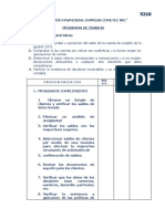 Programa Auditoría Financiera