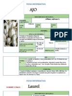 Fichas Informativas de Las Plantas