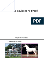 Mostrar saltando Cavalo Estrela Estável Garanhão Equestre, cavalo, cavalo,  animais, cerca png