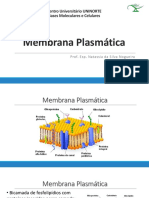 Aula 4 - Membrana Plasmática