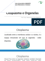 Aula 5 - Citoplasma e Organelas