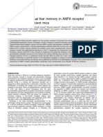Prolonged Contextual Fear Memory in AMPA Receptor Palmitoylation-De Ficient Mice