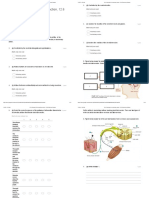 12.4 Voluntary & Involuntary Action, 12.6 Endocrine System - Google Forms