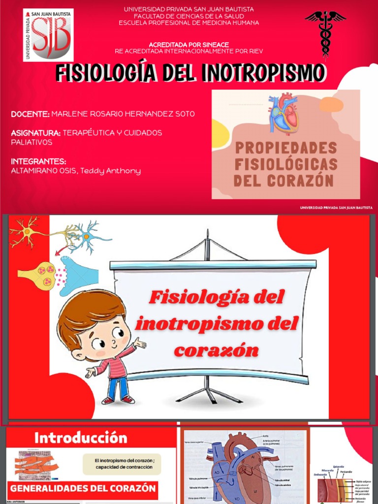 Fisiología del Inotropismo | PDF
