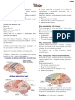 Tálamo - Inteligência - Memórias