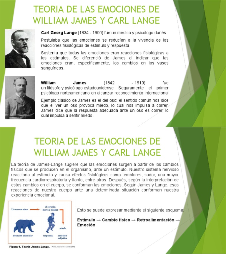 TEORIA DE LAS EMOCIONES DE WILLIAM JAMES Final | PDF