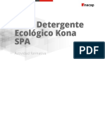 Actividad Detergente Ecológico Kona SPA