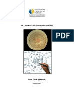 PP1 Bio 1150 Microscopia Dibujo y Rotulación