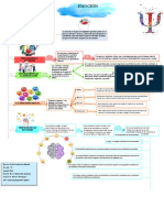 Organizador Grafico Emocion