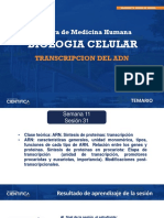 Biología Celular - Transcripción Del ADN-11-16