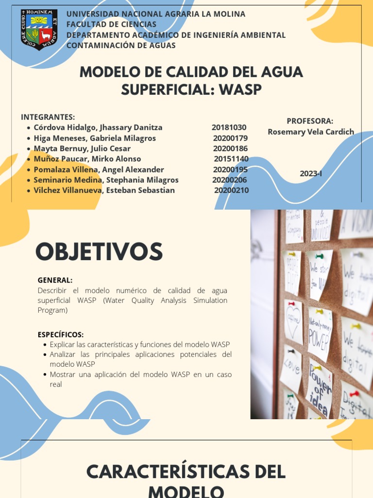 Modelo WASP | PDF