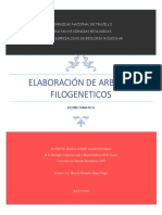 Arbol Filogenetico