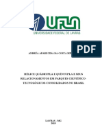 TESE - Hélice Quádrupla e Quíntupla e Seus Relacionamentos em Parques Científico-Tecnológicos Consolidados No Brasil