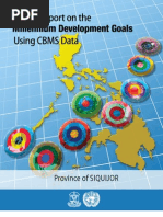 MDG Provincial Report 2010 Siquijor