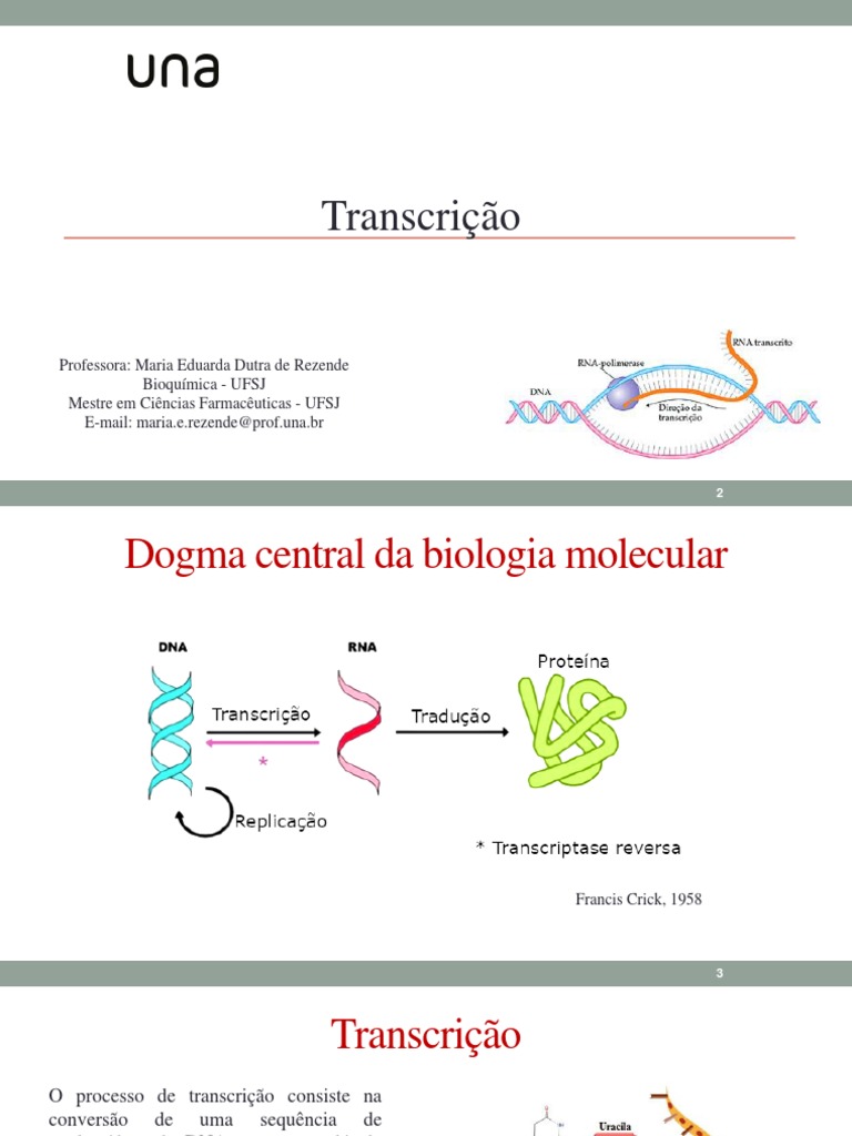 Transcrição e Tradução | PDF