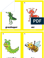 Insect Flashcards