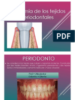 Anatomía Periodontal
