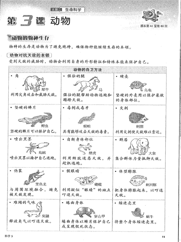 STD 5 SC Unit 3 | PDF