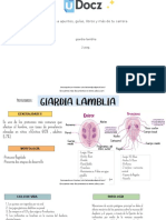 Giardia Lamblia 253658 Downloable 2131252