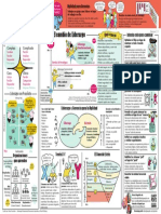 Agile Leadership Transformative