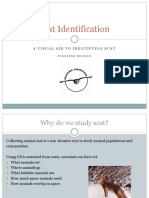 Scat-Identification