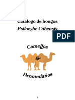 Catálogo de Hongos: Psilocybe Cubensis