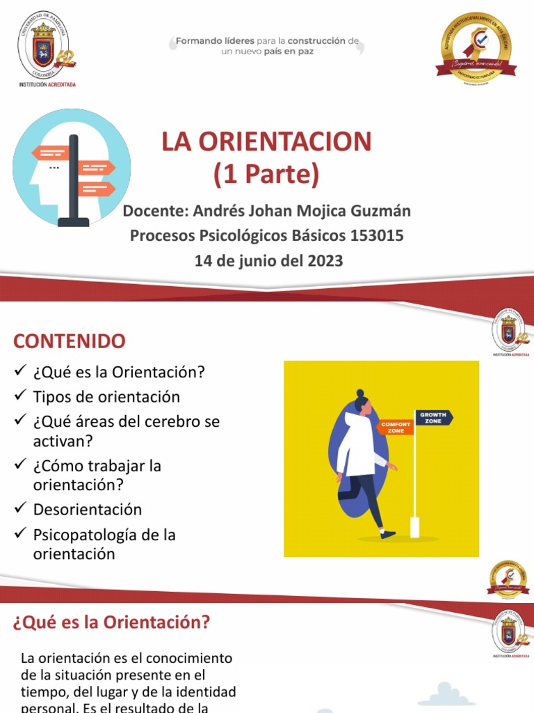 PARA UNA MEJOR COMPRENSI N DE LA ORIENTACI N visual data 5